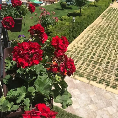 Appartamento In Rose *